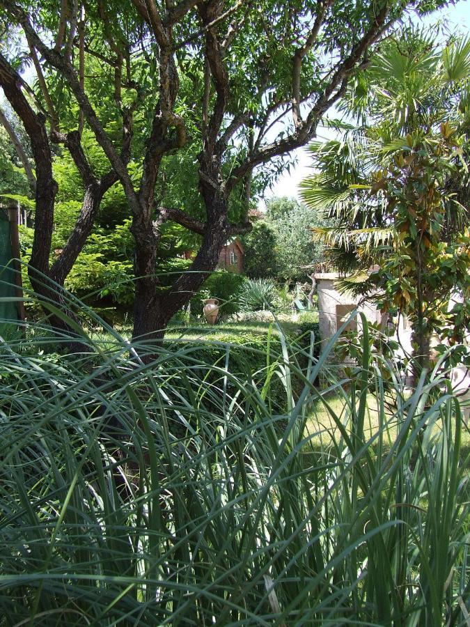 Lou Pin Dou Papet Bed & Breakfast Roquevaire Room photo
